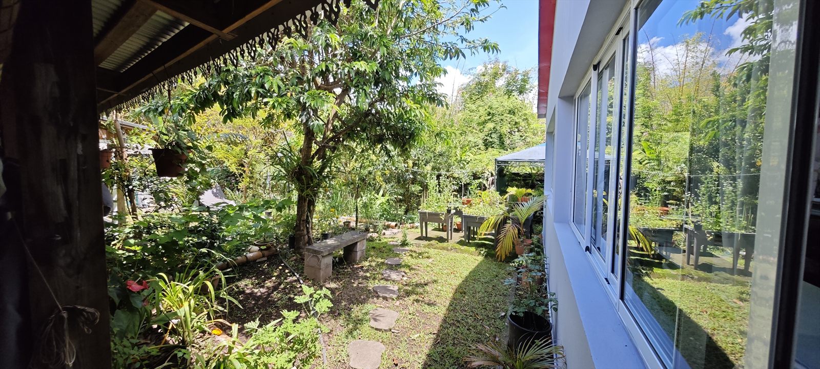 Jardin créole avec banc en bois et arbustes tropicaux